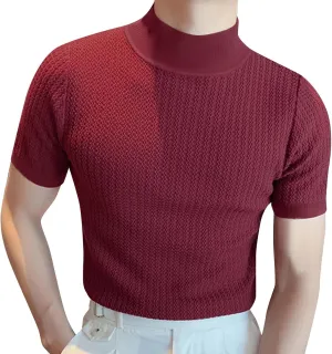 Short Sleeve Turtleneck Men Fall Thermal High Collar Pullover Solid Tops Casual Turtleneck Mock Neck Slim T Shirt